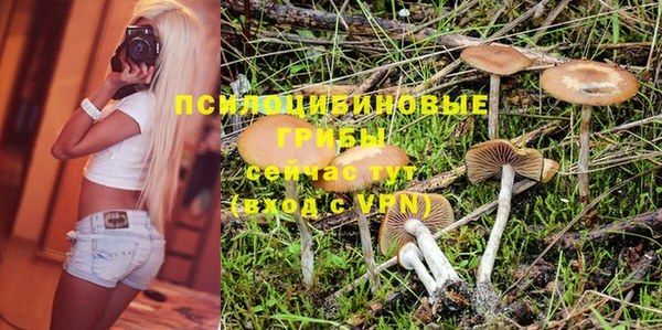 ешки Алексеевка