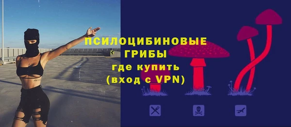стаф Абинск