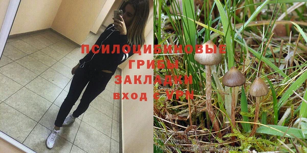 ECSTASY Алзамай