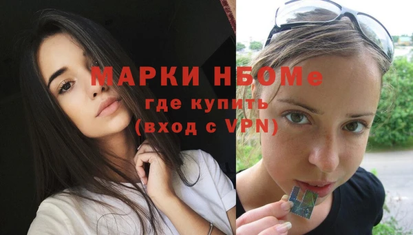 ECSTASY Алзамай