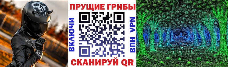 Псилоцибиновые грибы Psilocybine cubensis  где купить   Котельнич 